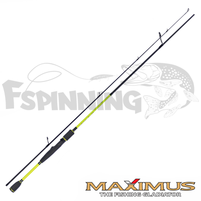 Спиннинг Maximus Villain 2.4m/20-60gr MSVI24H купить в интернет-магазине