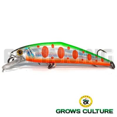 Grows Culture D-Contact 72 #17