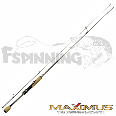 Спиннинг Maximus Legend Ultras 20L 2m/2-9gr MULSLU20L купить в интернет-магазине