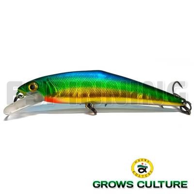 Grows Culture D-Contact 72 #04