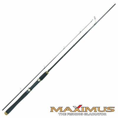 Спиннинг Maximus Sea Wolf 2,4m/5-20gr MSSW24ML купить в интернет-магазине