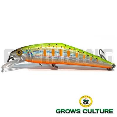 Grows Culture D-Contact 72 #09
