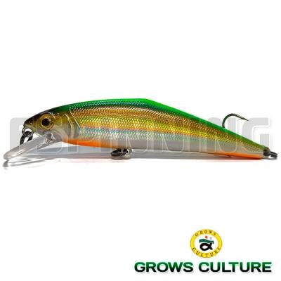 Grows Culture D-Contact 72 #16