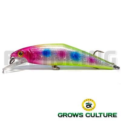 Grows Culture D-Contact 72 #01
