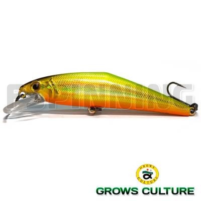 Grows Culture D-Contact 72 #08
