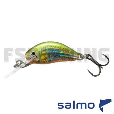 Воблер Salmo Hornet 02.5S HO